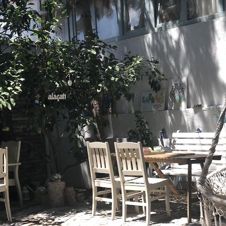 阿拉恰特萨度亚住宿加早餐旅馆 外观 照片