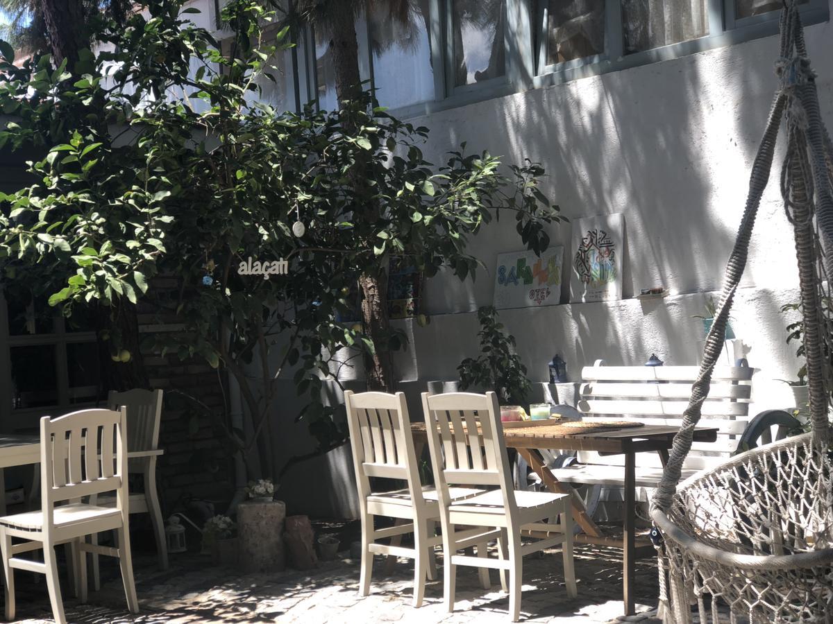 阿拉恰特萨度亚住宿加早餐旅馆 外观 照片